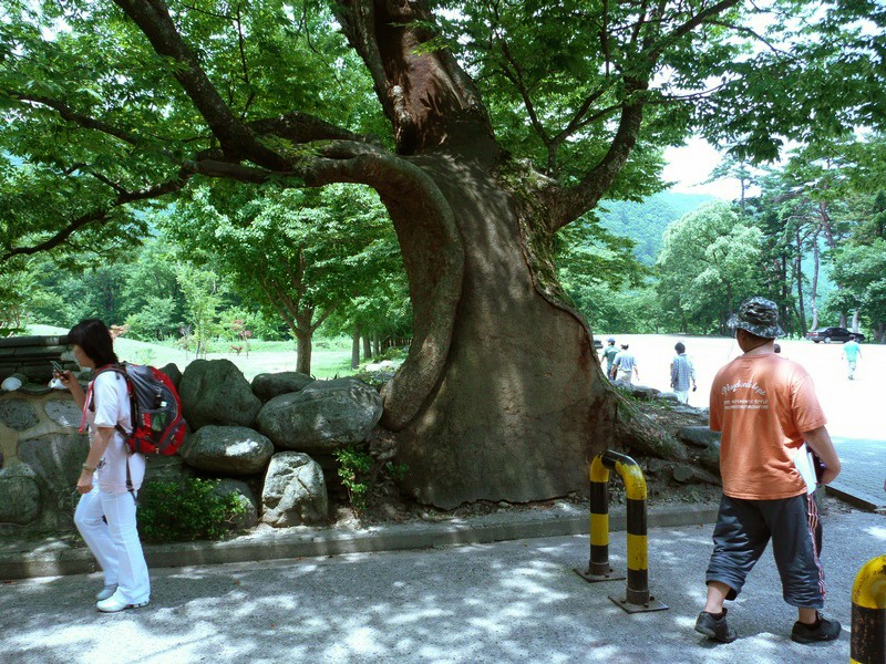 P1000829.jpg