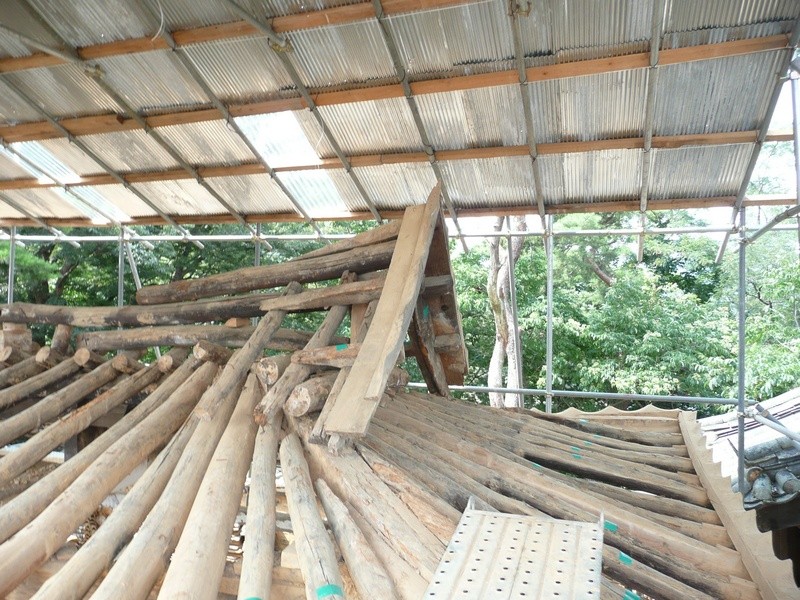 P1000852.jpg