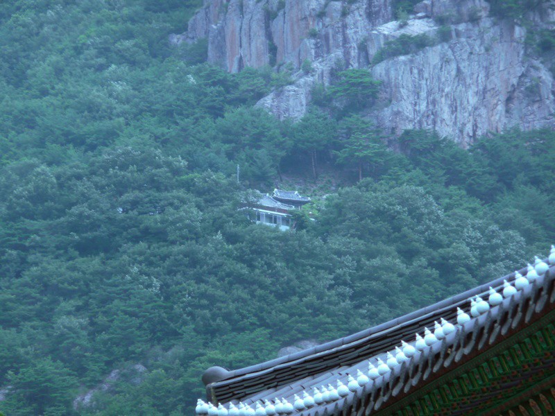 P1000819.jpg
