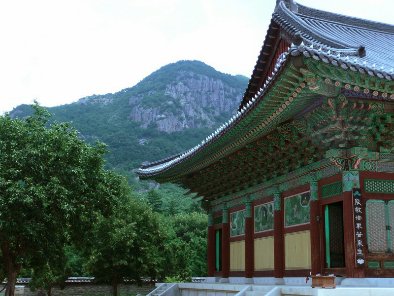 P1000820.jpg