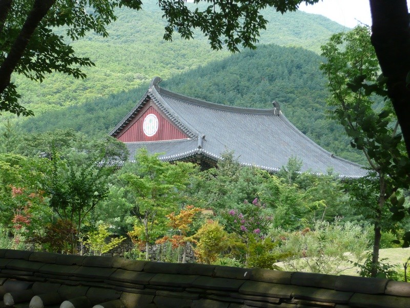 P1000779.jpg