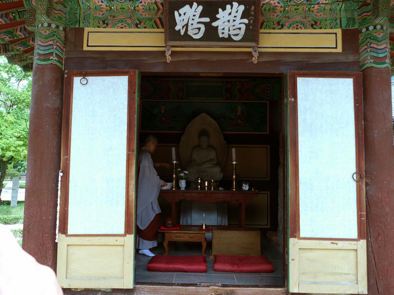 P1000796.jpg