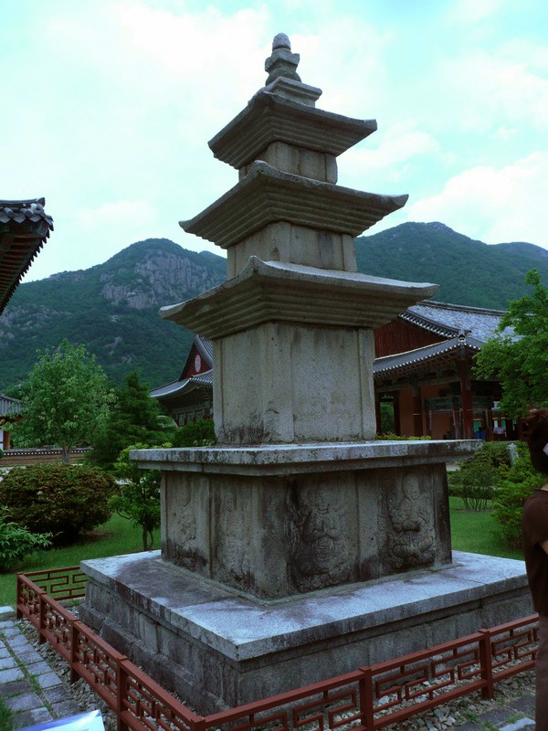 P1000797.jpg