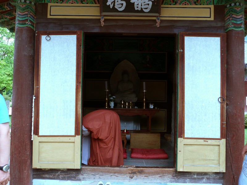 P1000795.jpg