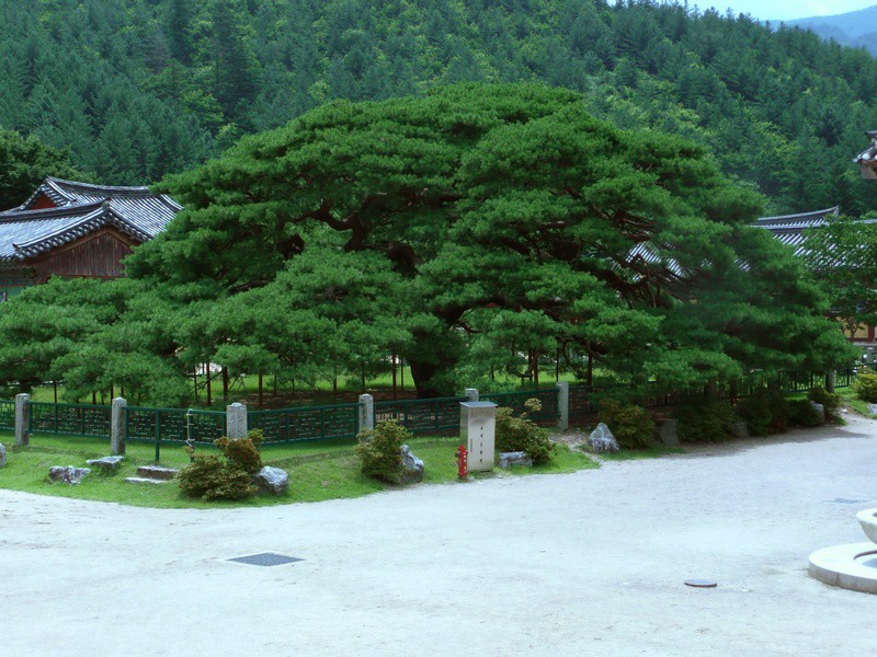 P1000828.jpg