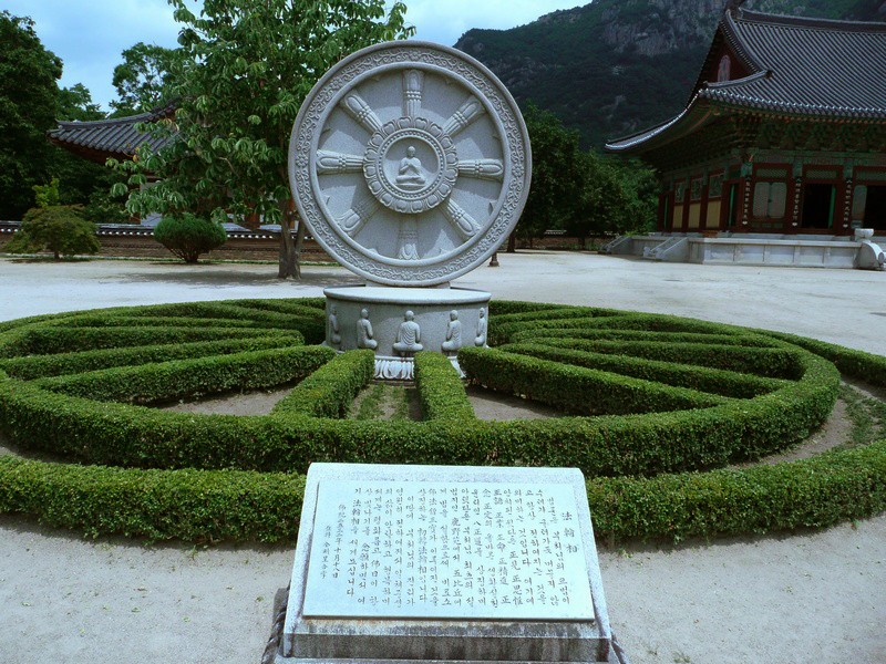 P1000814.jpg
