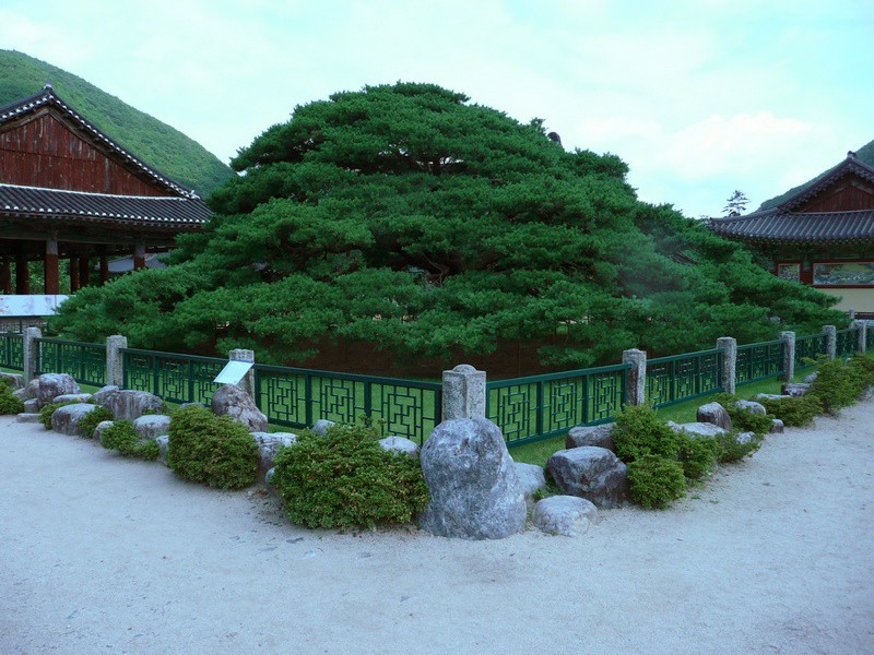 P1000786.jpg