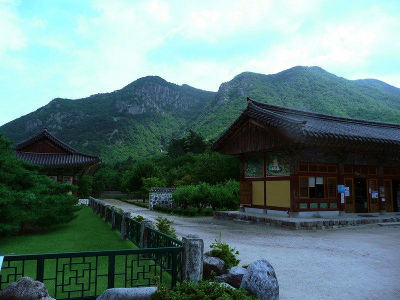 P1000787.jpg
