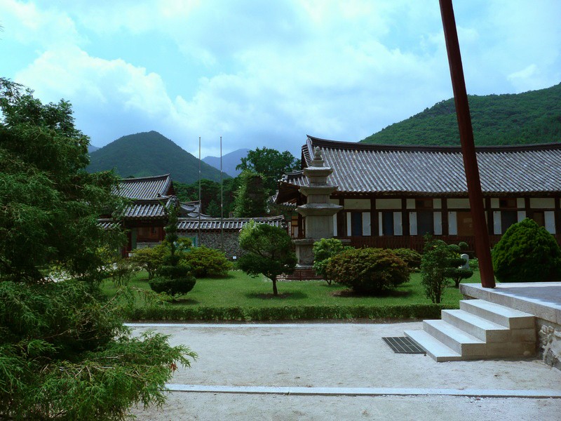 P1000813.jpg