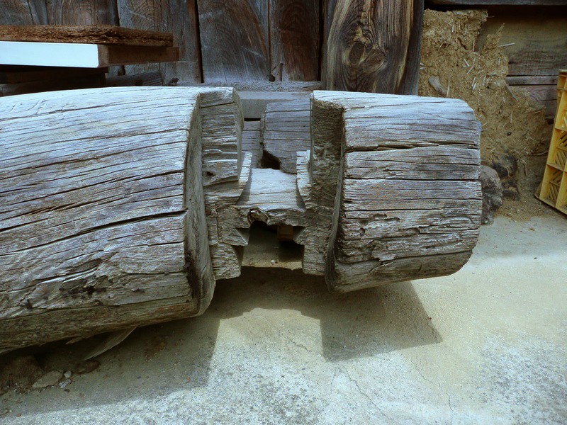 P1000846.jpg