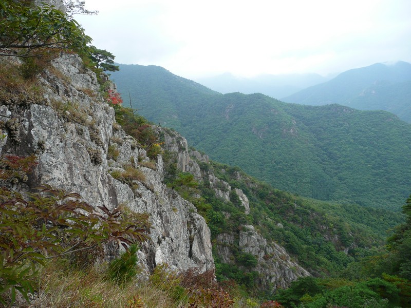 P1010169.jpg