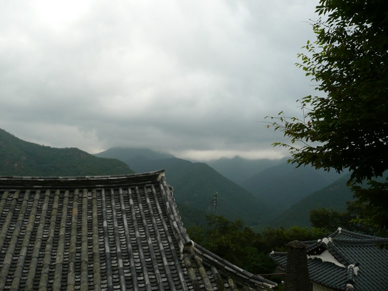P1010152.jpg