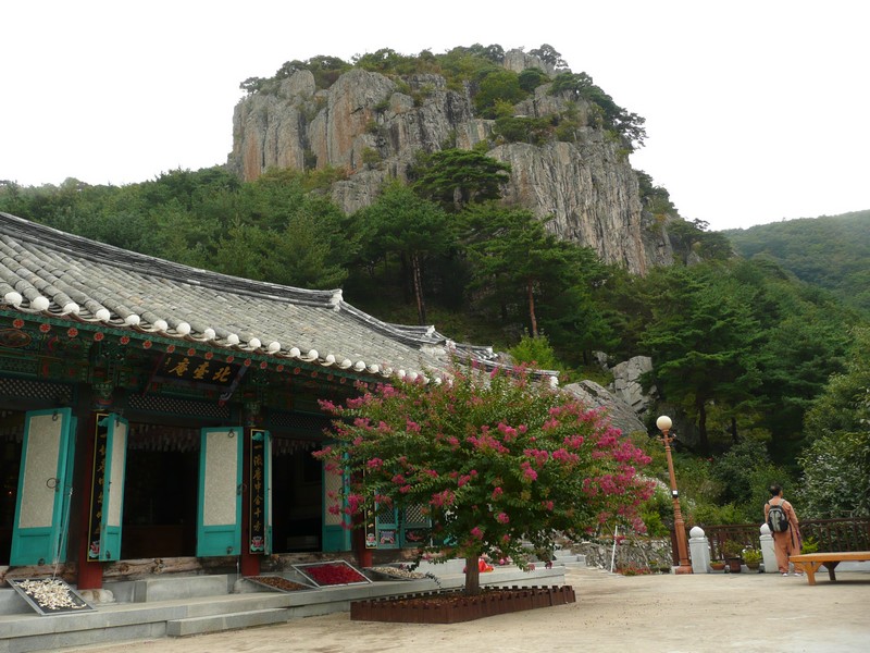 P1010160.jpg