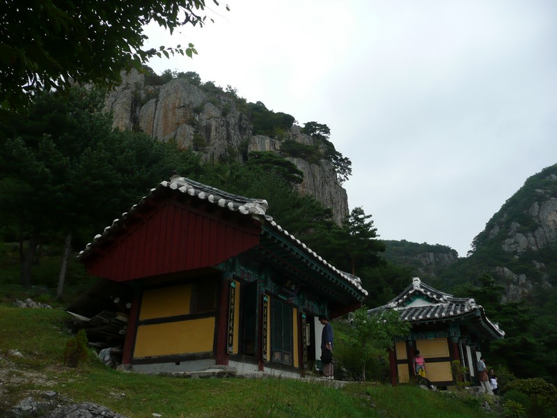 P1010134.jpg