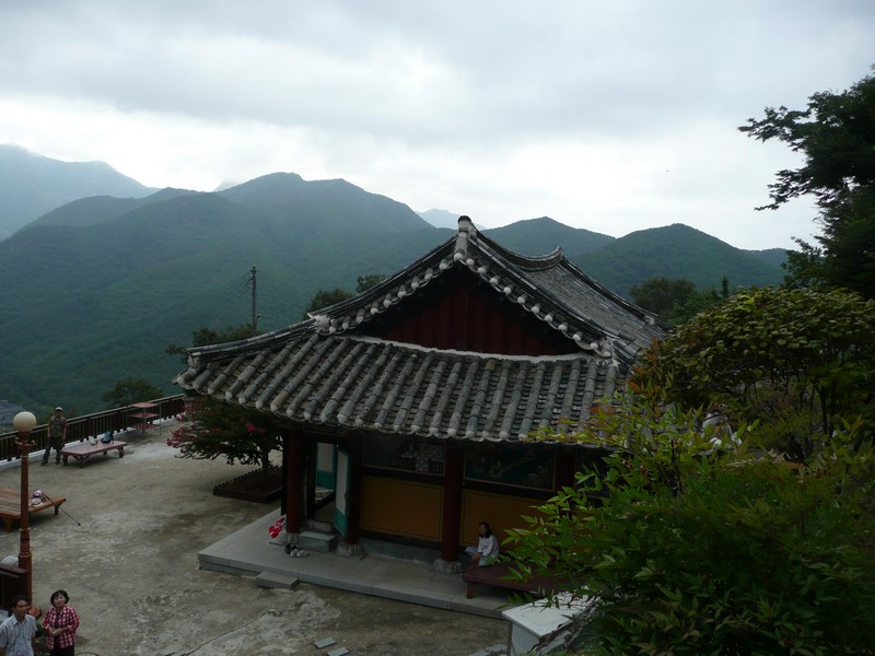 P1010136.jpg