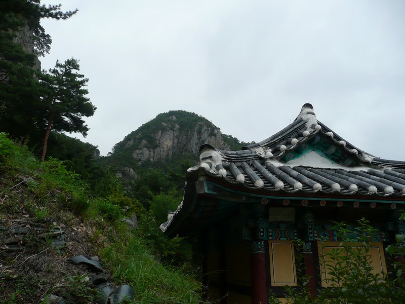 P1010135.jpg