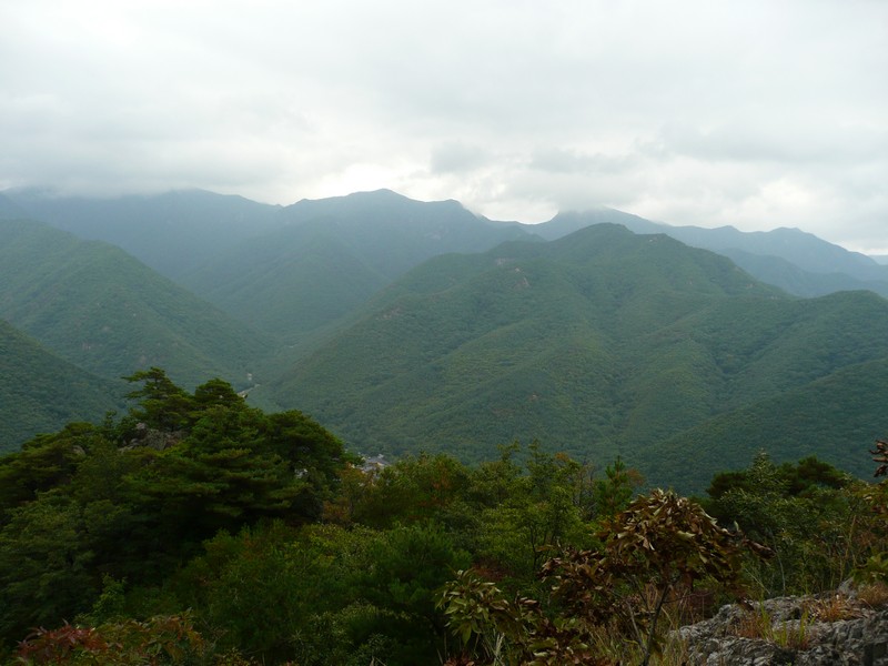 P1010167.jpg