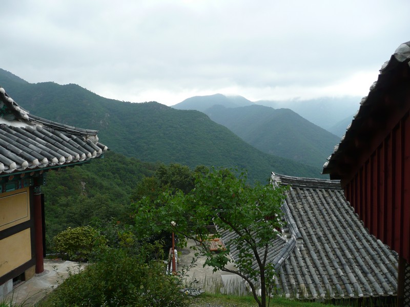 P1010145.jpg