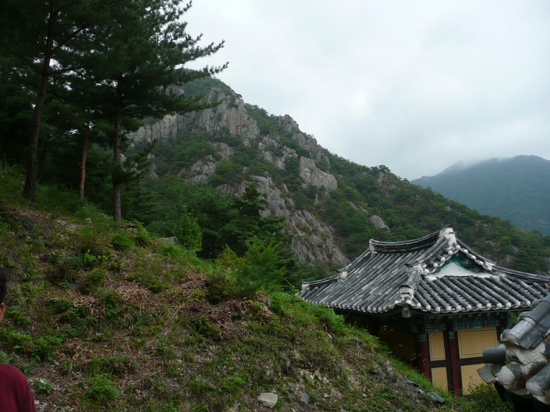 P1010144.jpg
