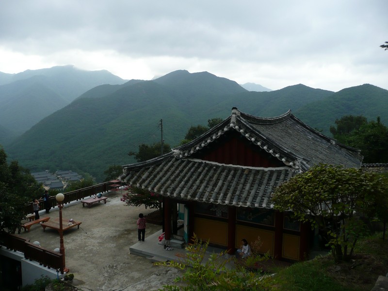 P1010139.jpg