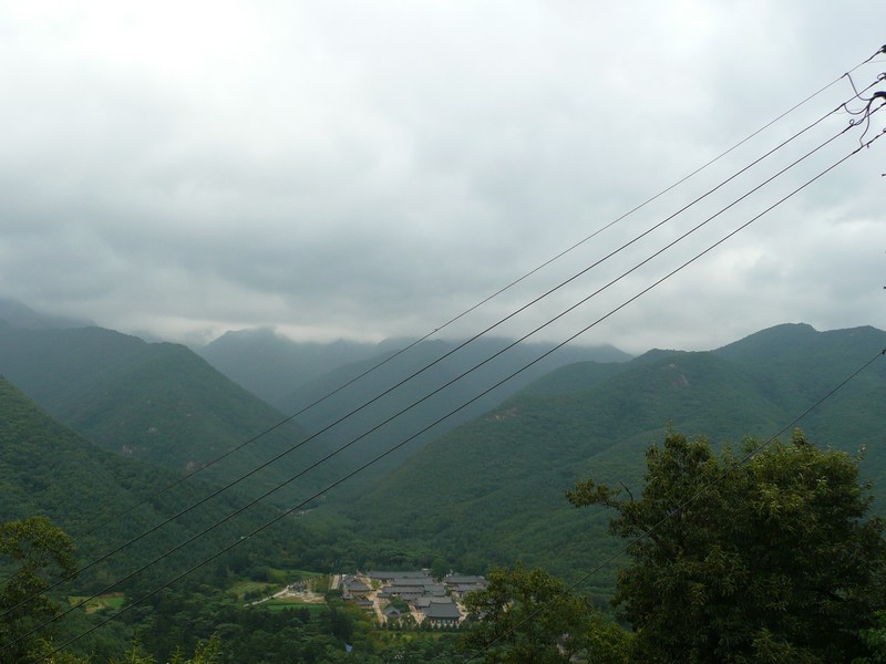P1010156.jpg