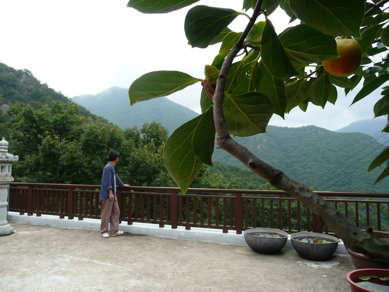 P1010154.jpg
