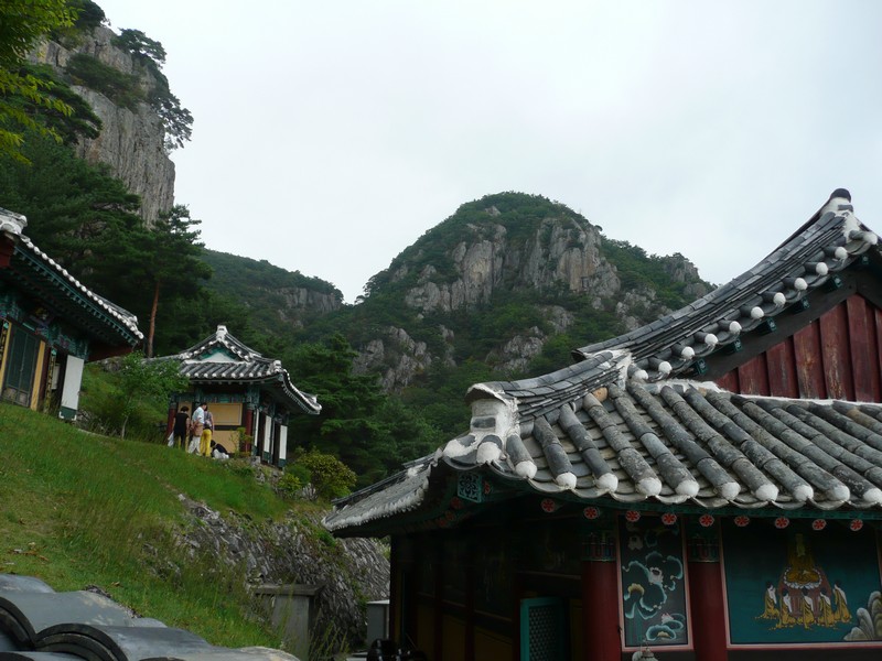 P1010130.jpg