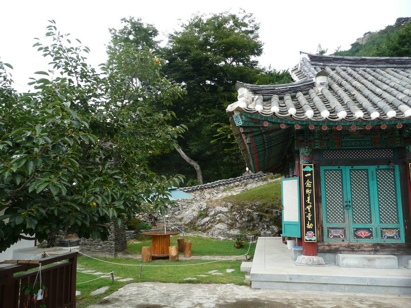 P1010123.jpg