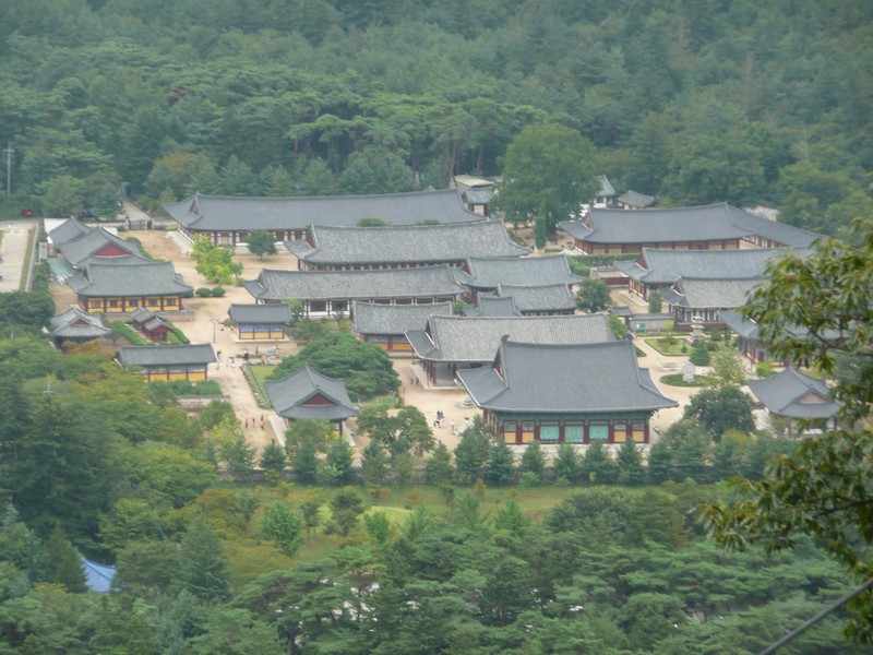 P1010158.jpg