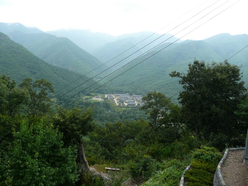 P1010126.jpg