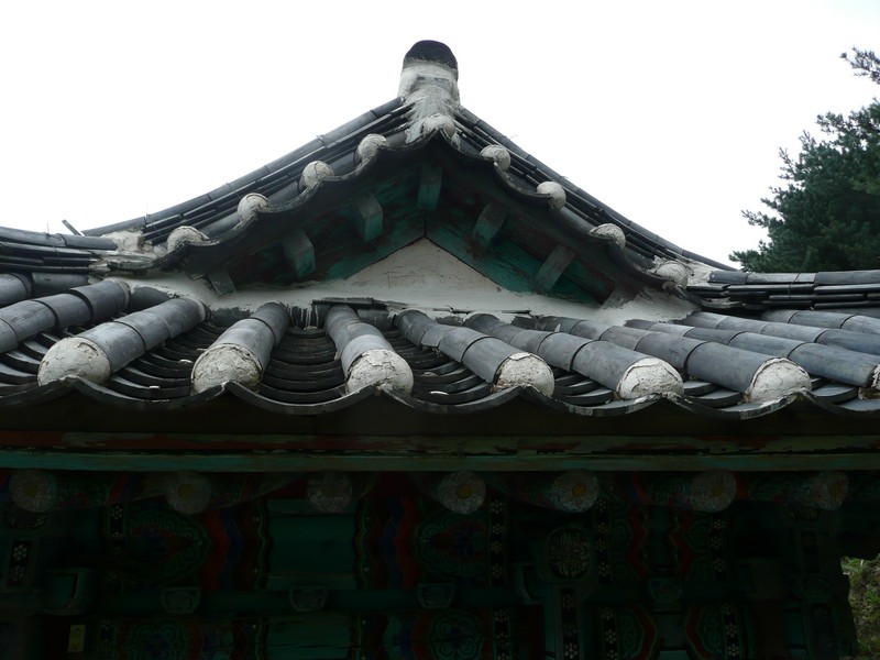P1010142.jpg