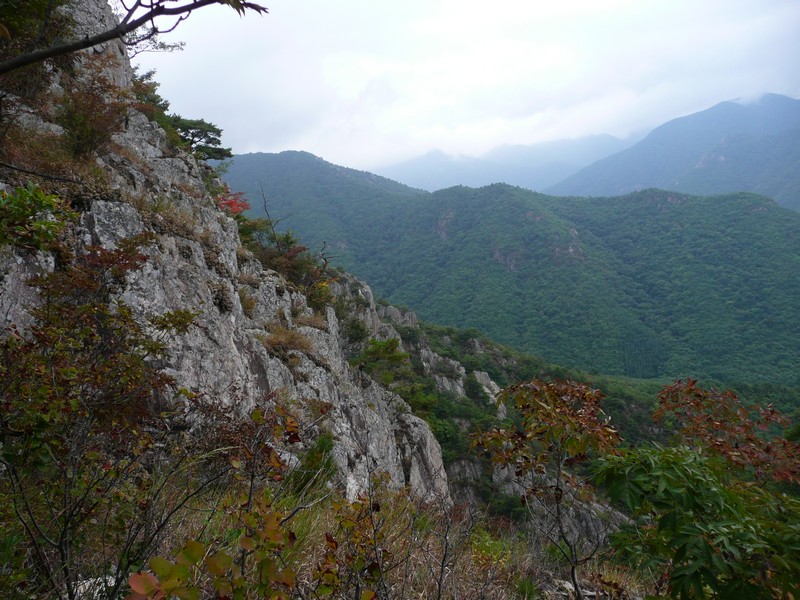 P1010168.jpg