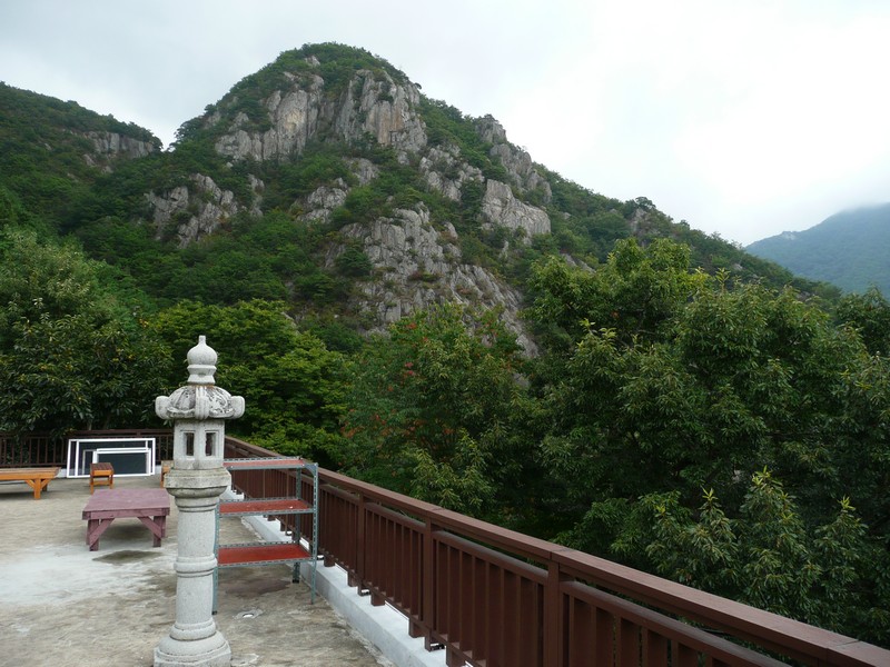 P1010121.jpg