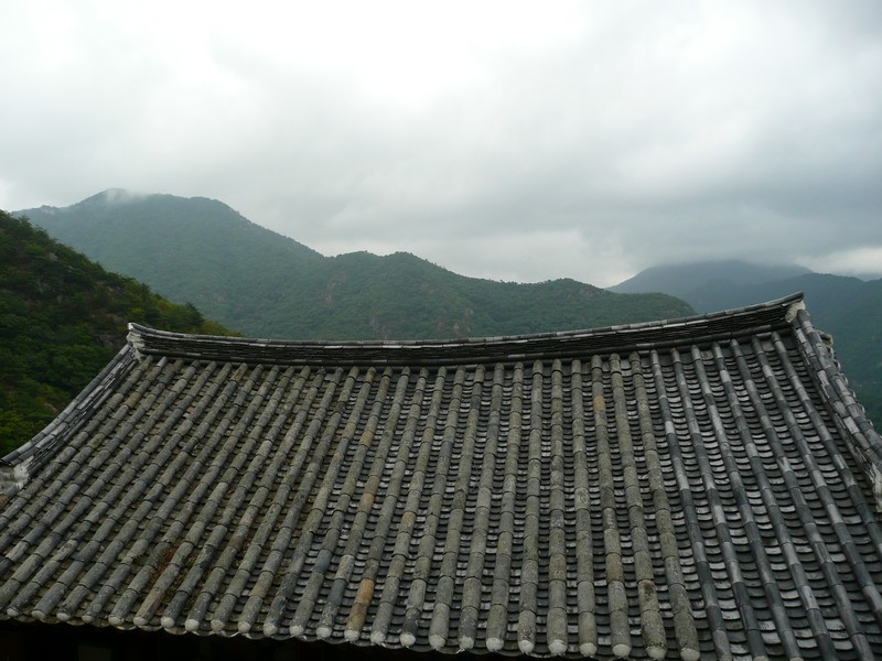 P1010153.jpg