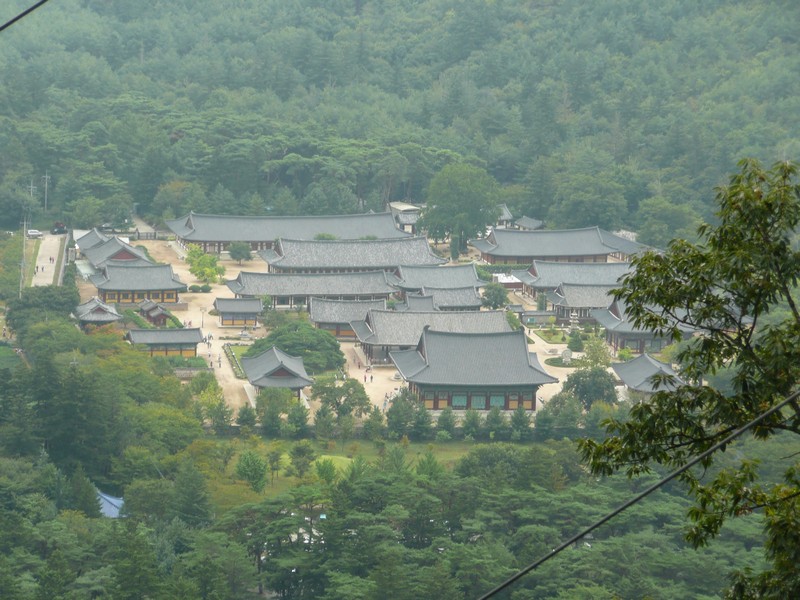 P1010127.jpg