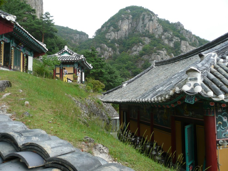 P1010131.jpg