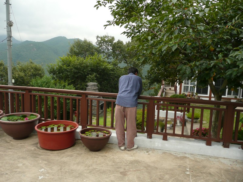 P1010165.jpg