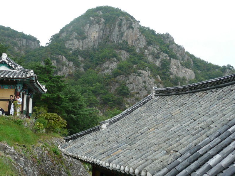 P1010133.jpg