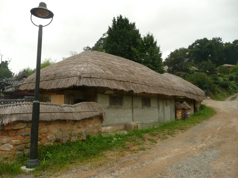 P1020018.jpg