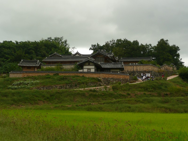 P1020016.jpg