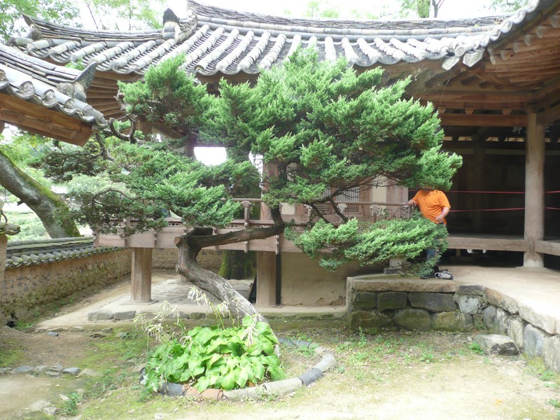 P1020108.jpg