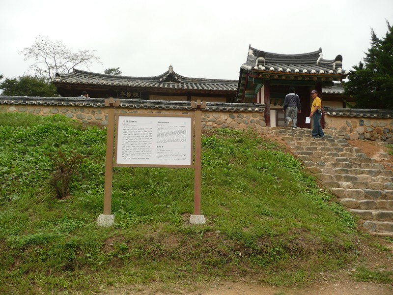 P1020024.jpg