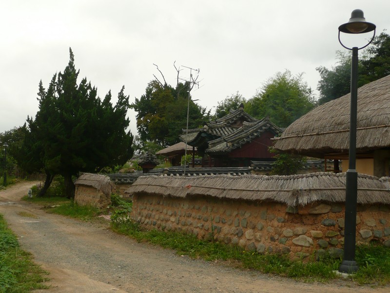 P1020017.jpg