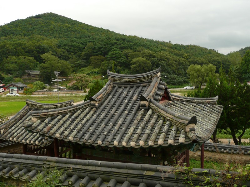 P1020055.jpg