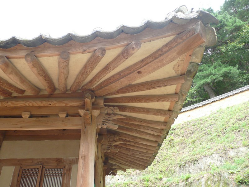 P1020107.jpg