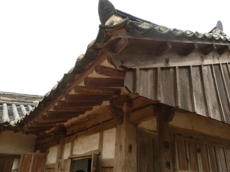 P1020036.jpg