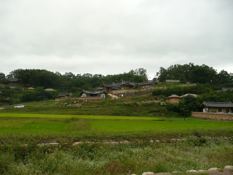 P1020002.jpg