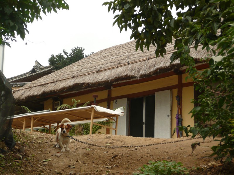 P1020020.jpg