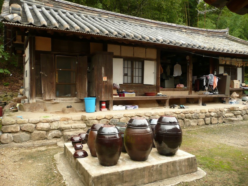 P1020081.jpg