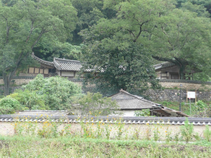 P1020014.jpg